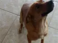 Fred