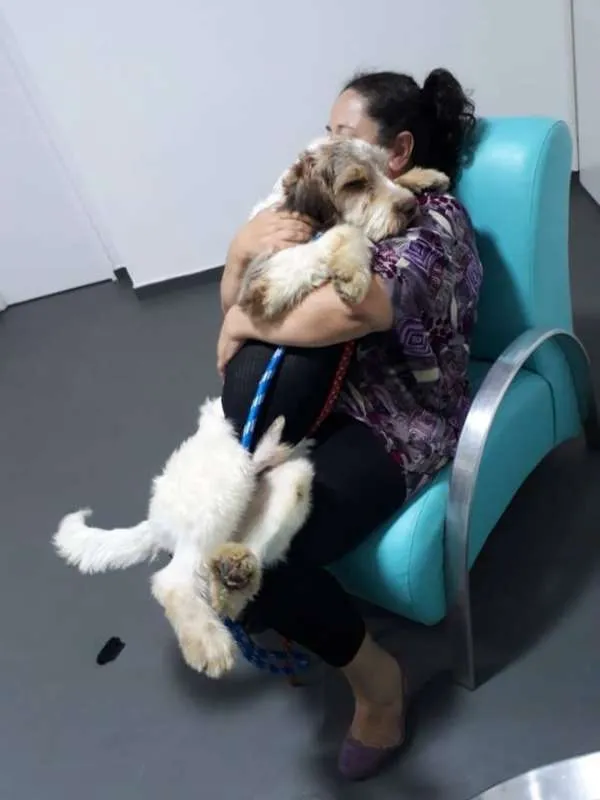 Cachorro ra a SRD idade 1 ano nome CAIO