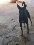 Sabrina