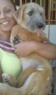 ESTRELA
