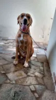 Lua