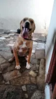 Lua