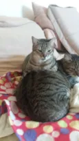 Pequena e Grandao