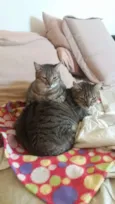 Pequena e Grandao