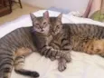 Pequena e Grandao
