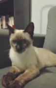Sebastian