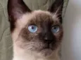 Sebastian