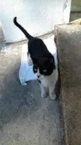 Chaplin