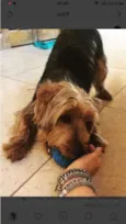 Teodor