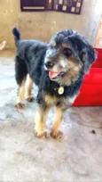 Boby