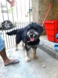 Boby