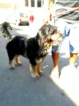 Boby