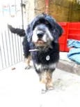 Boby