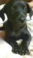 Teka