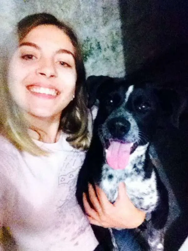 Cachorro ra a SRD idade 2 anos nome Teobaldo Valério