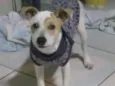 Jojó