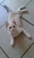 Mia