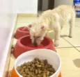  Não tem nome 