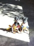 Fritz e Frida