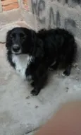 Neguinho 