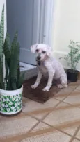 Encontrado
