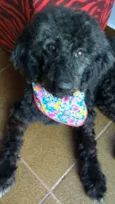 Dorinha