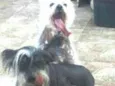 Breno e Bruno
