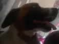 Nina