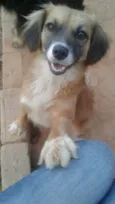 Tchuca 