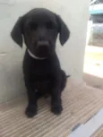 Baby