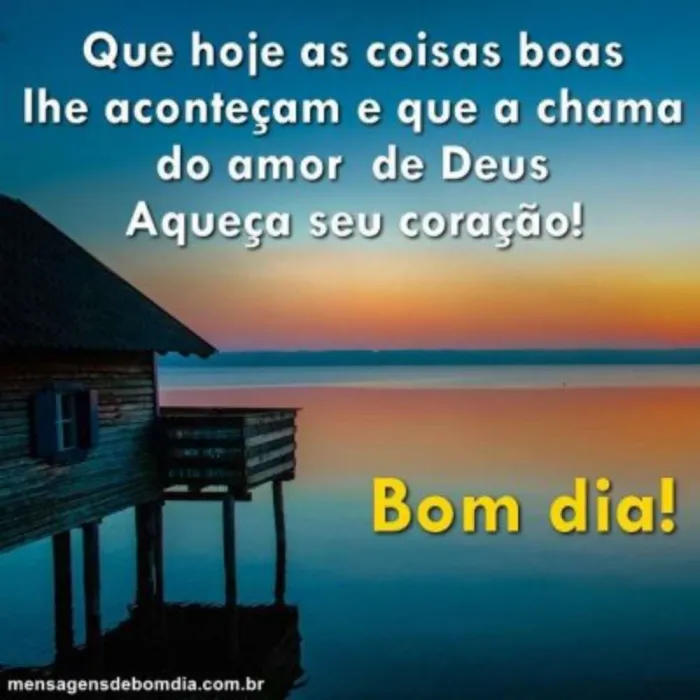 Cachorro raça Srd idade  nome Sem nome