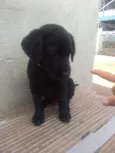 Baby
