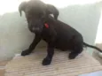 Baby