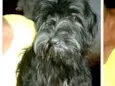 Charlie e Charlote