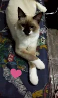 Tom