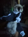 Tom