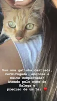 Galega
