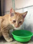 Mabbi