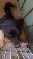 Bilu