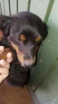 Bilu