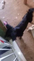 Bilu