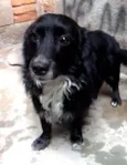 Neguinho 