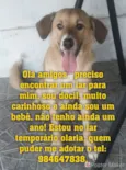 Bwbê
