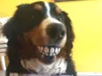 Baltazar
