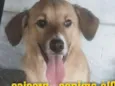 Bwbê
