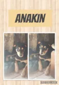 Anakin