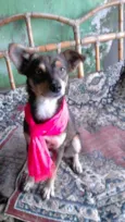 Princesa