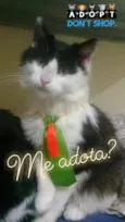 PIMENTA