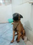Duk