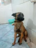Duk
